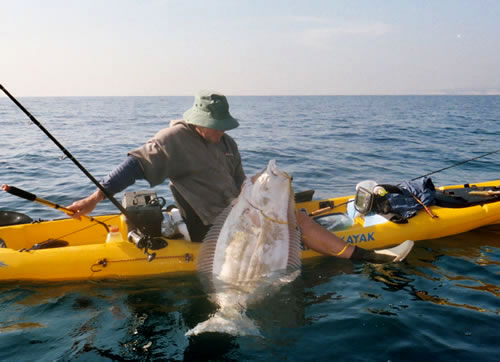 carson_web1_40lbhalibut-yak.jpg